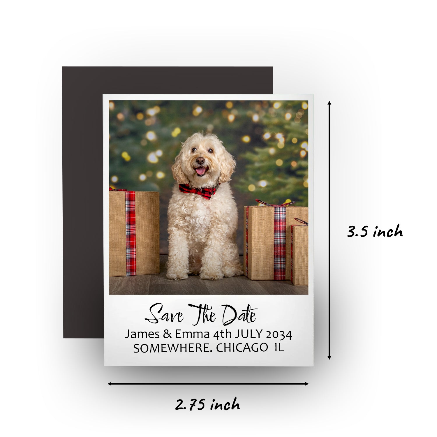 Save The Date Magnets - 2.75x3.5 inch