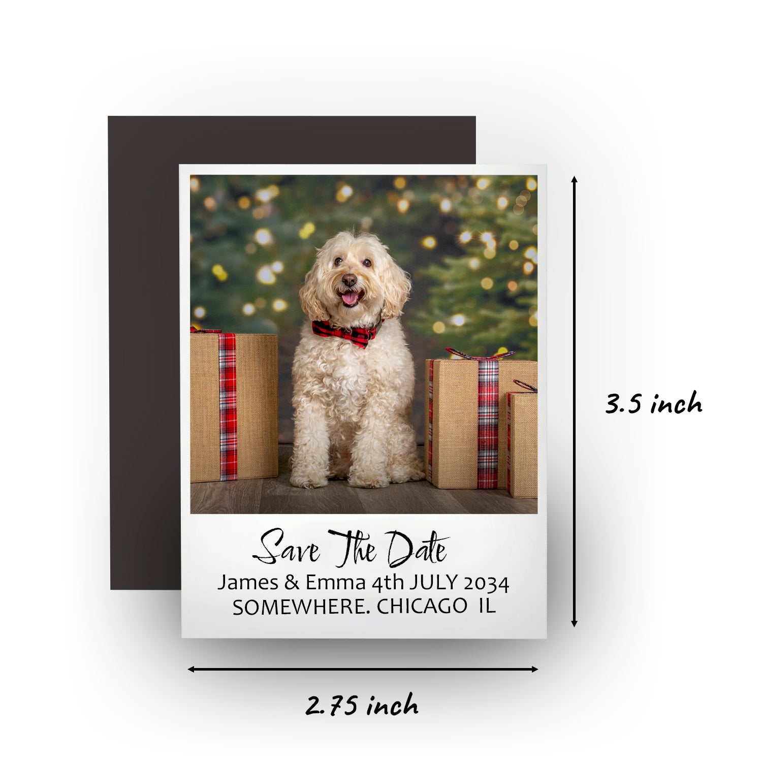 Save The Date Magnets  - 2.75x3.5 inch